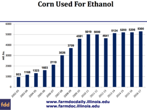 corn